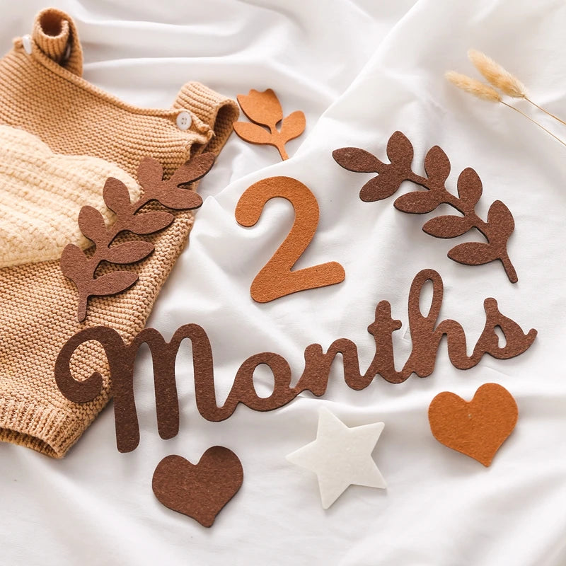 Newborn Photography Milestone Decoration
