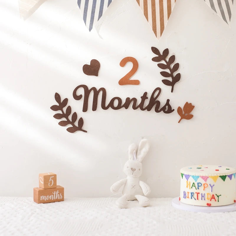 Newborn Photography Milestone Decoration