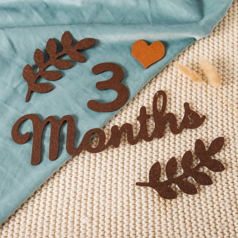 Newborn Photography Milestone Decoration