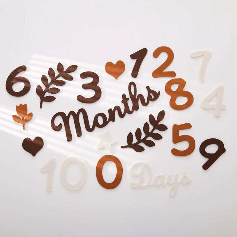 Newborn Photography Milestone Decoration
