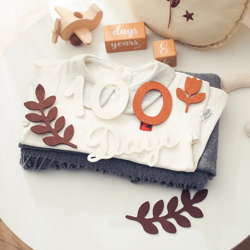 Newborn Photography Milestone Decoration