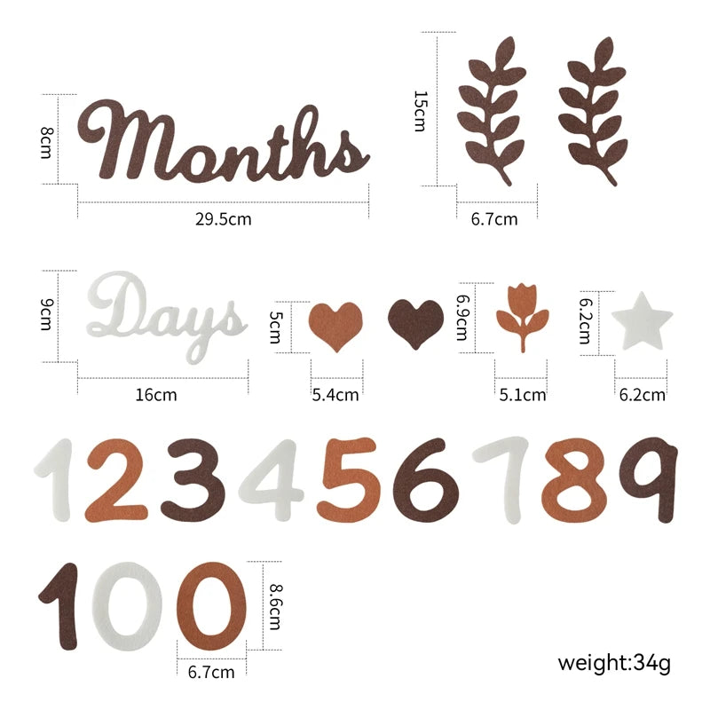 Newborn Photography Milestone Decoration