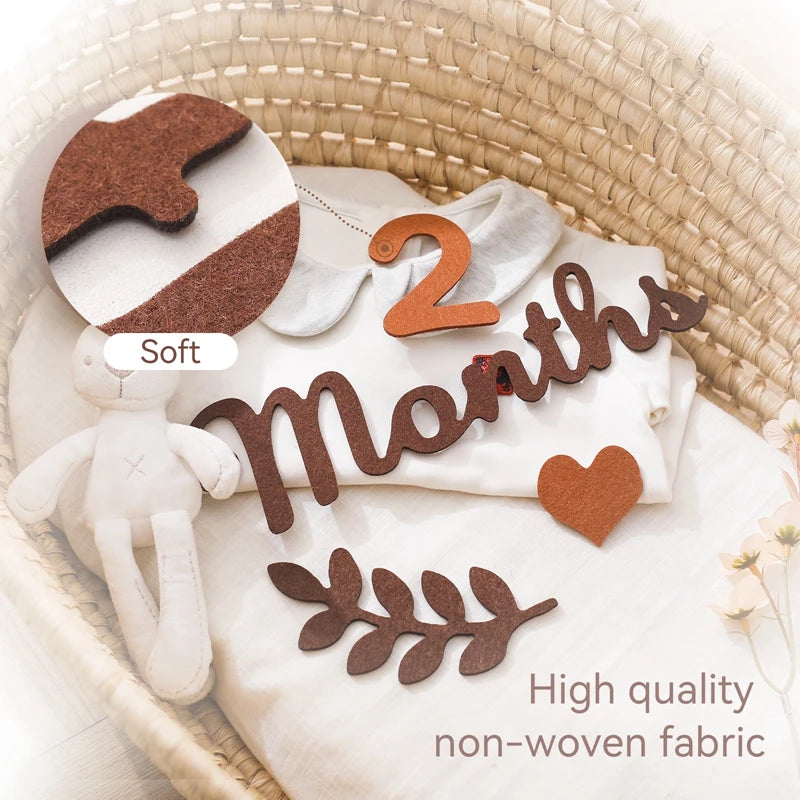 Newborn Photography Milestone Decoration