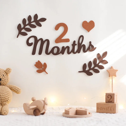 Newborn Photography Milestone Decoration