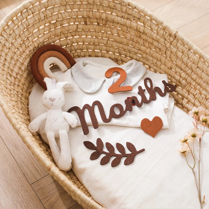 Newborn Photography Milestone Decoration
