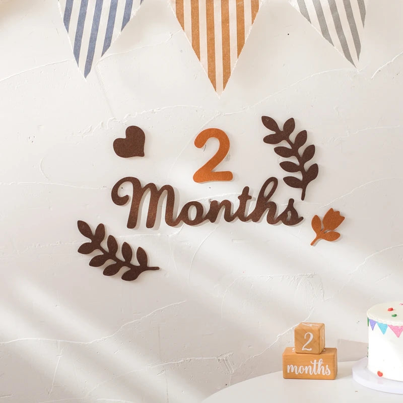 Newborn Photography Milestone Decoration